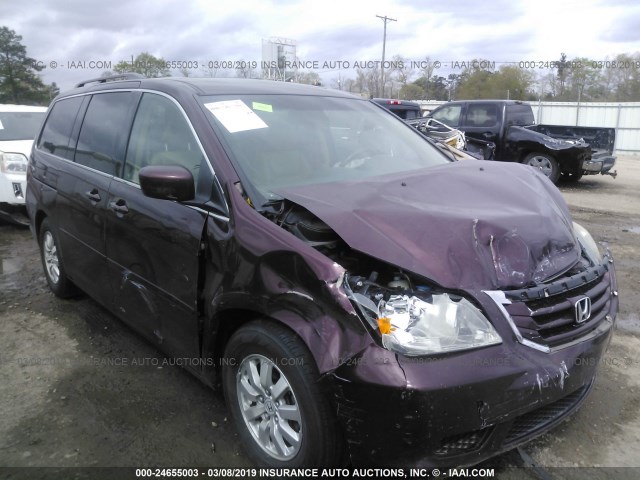 5FNRL38628B418405 - 2008 HONDA ODYSSEY EXL PURPLE photo 1