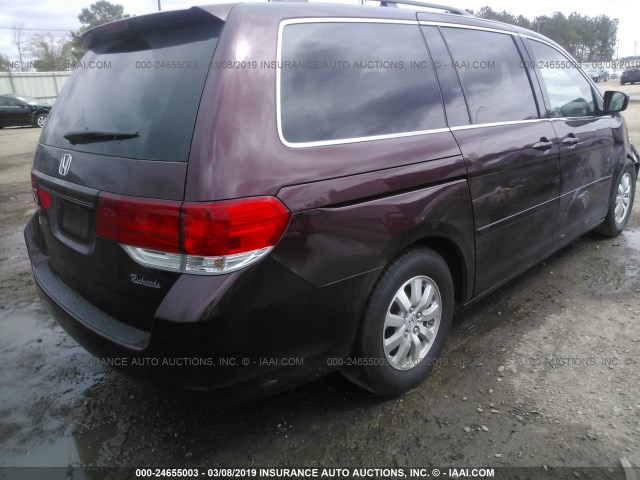 5FNRL38628B418405 - 2008 HONDA ODYSSEY EXL PURPLE photo 4