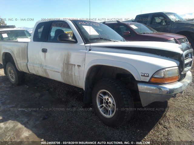 1B7GG22N9YS509146 - 2000 DODGE DAKOTA WHITE photo 1