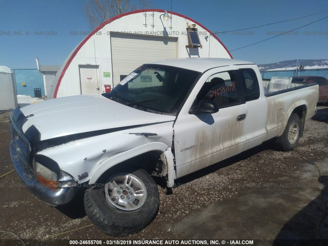 1B7GG22N9YS509146 - 2000 DODGE DAKOTA WHITE photo 2