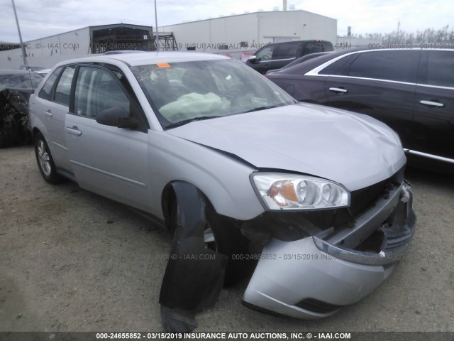 1G1ZT62864F190824 - 2004 CHEVROLET MALIBU MAXX LS SILVER photo 1