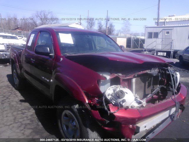 5TEUX42N86Z266890 - 2006 TOYOTA TACOMA ACCESS CAB მუქწითელი ფოტო 1