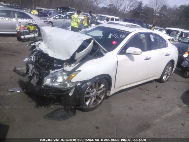 1N4AA5APXBC844547 - 2011 NISSAN MAXIMA S/SV WHITE photo 2