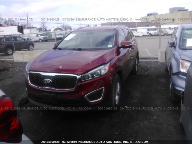 5XYPG4A32HG243096 - 2017 KIA SORENTO LX/L RED photo 2