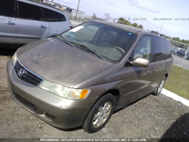 5FNRL18983B130010 - 2003 HONDA ODYSSEY EXL GRAY photo 2