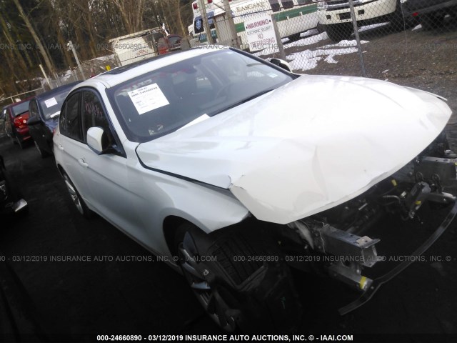 WBA3C3G51FNT52892 - 2015 BMW 320 I/XDRIVE WHITE photo 1