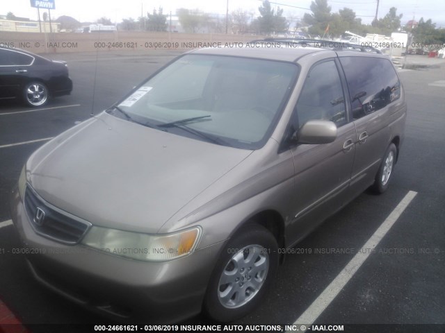 5FNRL18983B111585 - 2003 HONDA ODYSSEY EXL GOLD photo 2