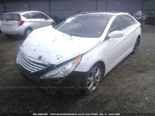 5NPEC4AC1CH483213 - 2012 HYUNDAI SONATA SE/LIMITED WHITE photo 2