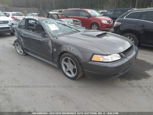 1FAFP42X64F131773 - 2004 FORD MUSTANG GT GRAY photo 1