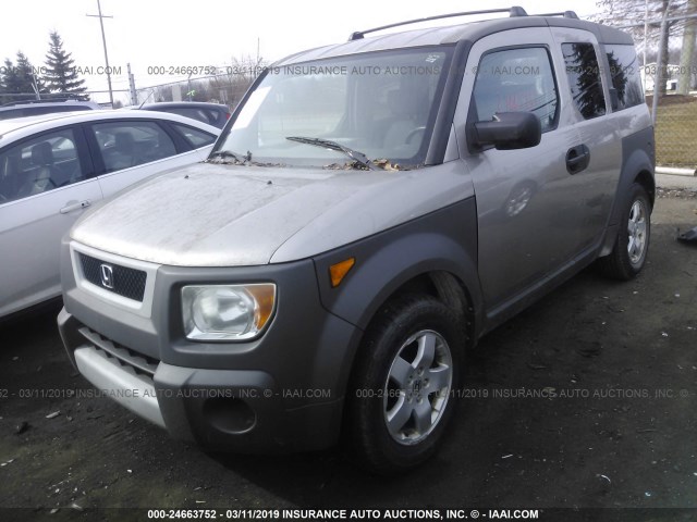 5J6YH28523L005768 - 2003 HONDA ELEMENT EX GRAY photo 2