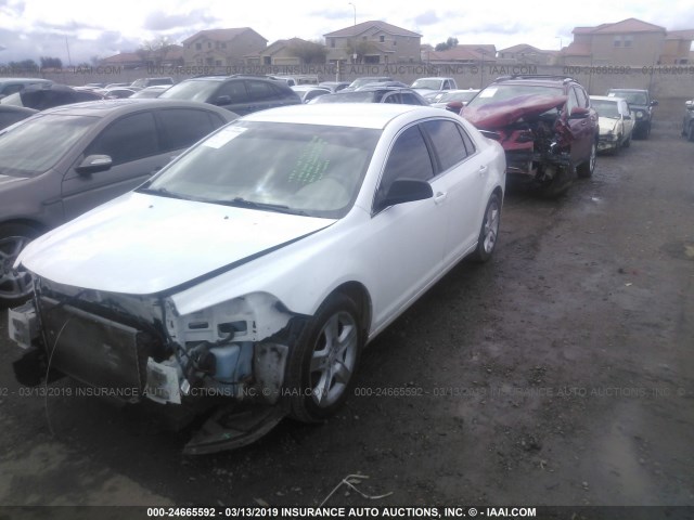 1G1ZA5EU1BF353739 - 2011 CHEVROLET MALIBU LS 白色 照片 2