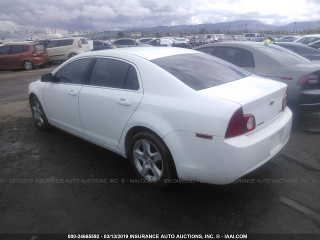 1G1ZA5EU1BF353739 - 2011 CHEVROLET MALIBU LS 白色 照片 3