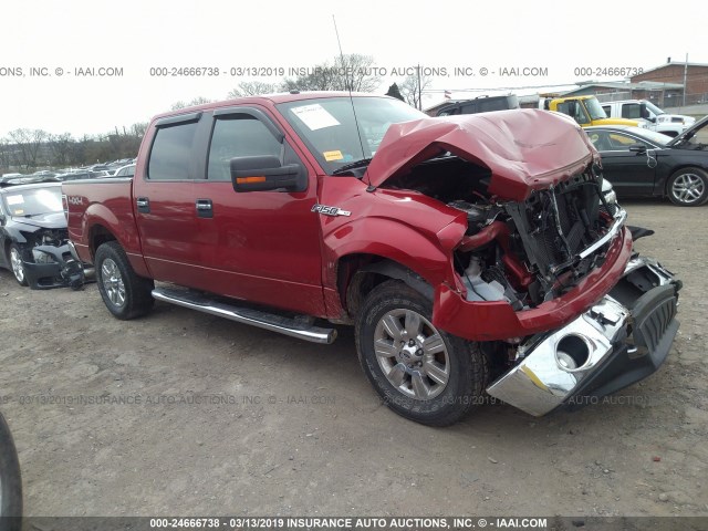 1FTFW1EV6AFD71097 - 2010 FORD F150 SUPERCREW RED photo 1