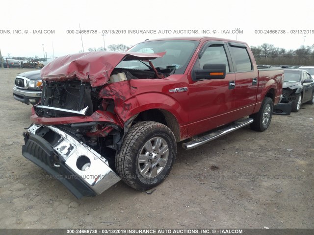 1FTFW1EV6AFD71097 - 2010 FORD F150 SUPERCREW RED photo 2