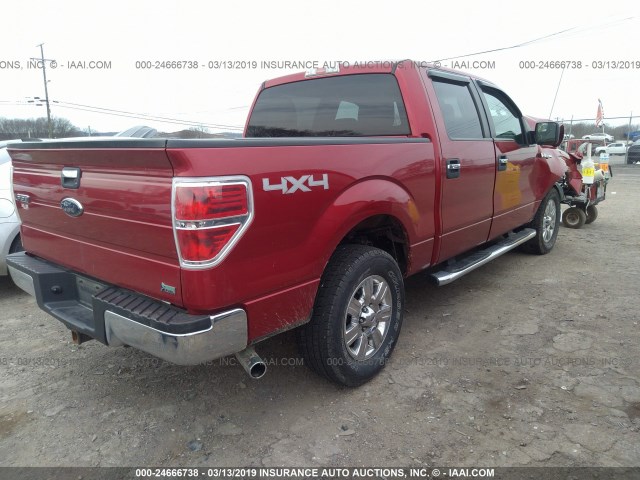 1FTFW1EV6AFD71097 - 2010 FORD F150 SUPERCREW RED photo 4