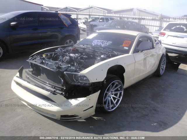 1ZVBP8CF8E5288506 - 2014 FORD MUSTANG GT CREAM photo 2