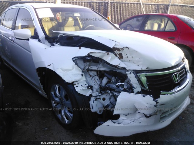 5KBCP3F8XAB003239 - 2010 HONDA ACCORD EXL WHITE photo 1