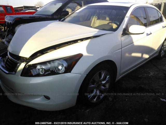 5KBCP3F8XAB003239 - 2010 HONDA ACCORD EXL WHITE photo 2