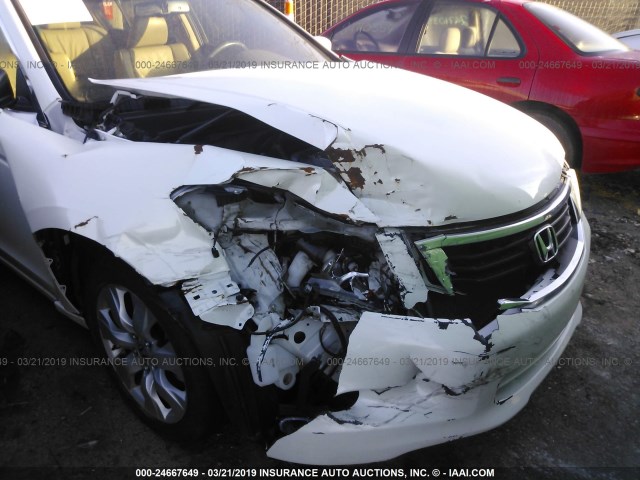 5KBCP3F8XAB003239 - 2010 HONDA ACCORD EXL WHITE photo 6