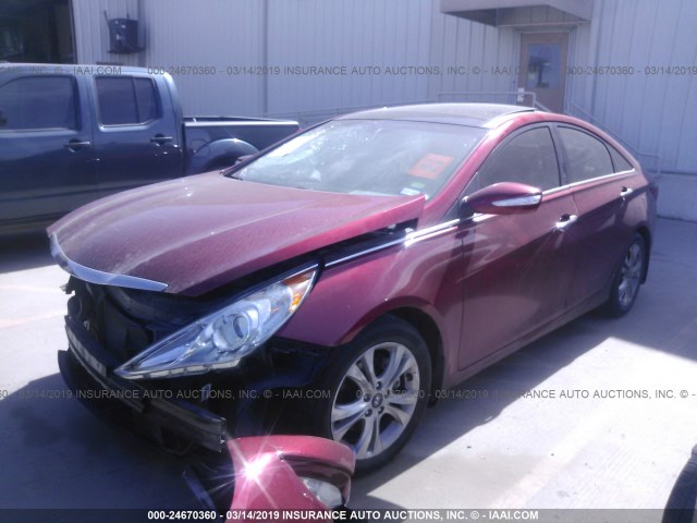 5NPEC4ACXDH645602 - 2013 HYUNDAI SONATA SE/LIMITED RED photo 2