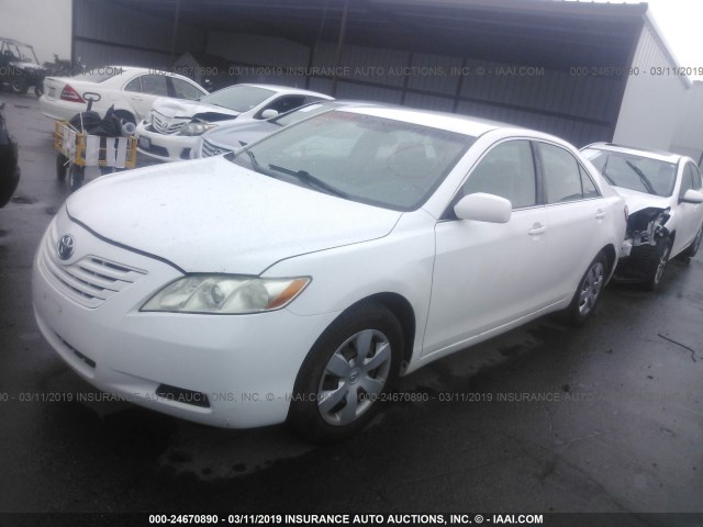 4T4BE46K58R039683 - 2008 TOYOTA CAMRY CE/LE/XLE/SE WHITE photo 2