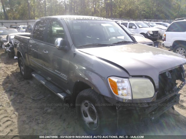 5TBET34176S538985 - 2006 TOYOTA TUNDRA DOUBLE CAB SR5 GRAY photo 1