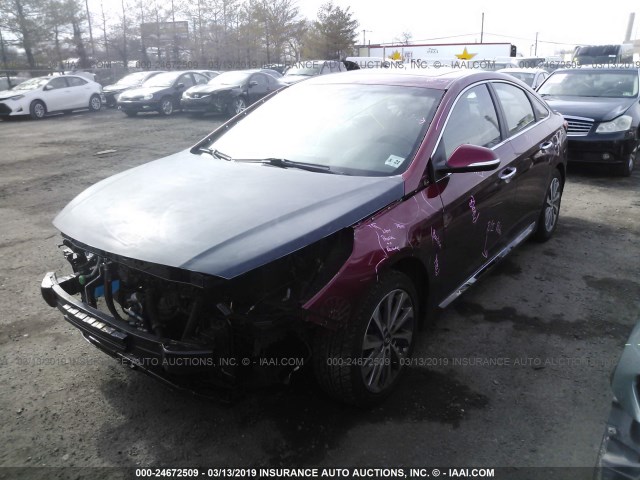 5NPE34AF0GH428011 - 2016 HYUNDAI SONATA SPORT/LIMITED RED photo 2