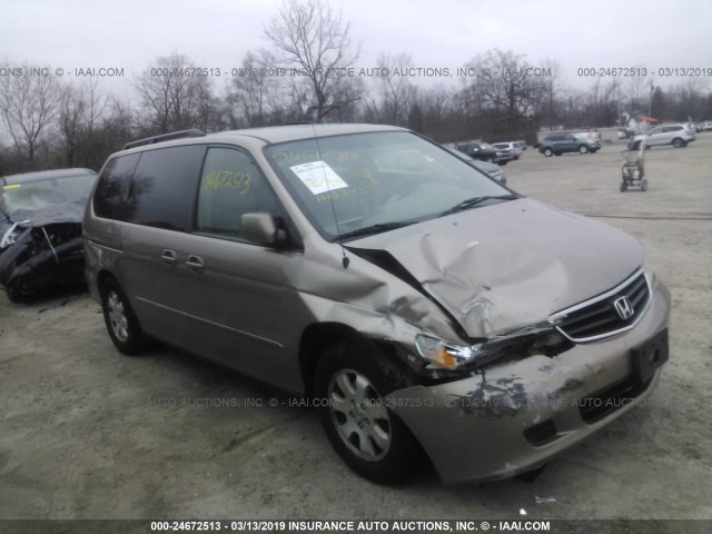 5FNRL18954B097405 - 2004 HONDA ODYSSEY EXL BEIGE photo 1