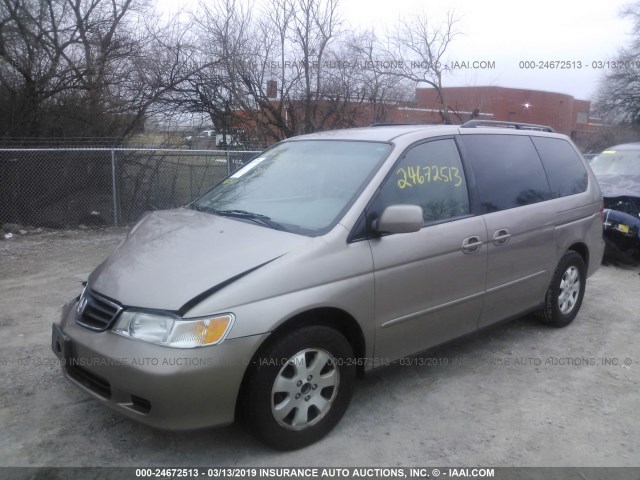 5FNRL18954B097405 - 2004 HONDA ODYSSEY EXL BEIGE photo 2