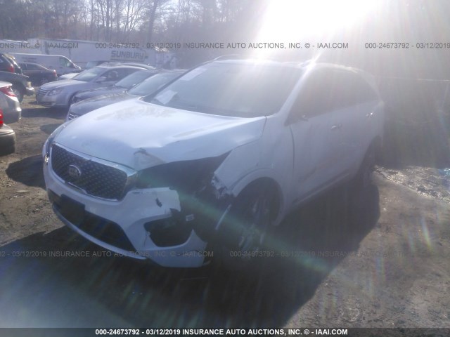 5XYPKDA57GG096854 - 2016 KIA SORENTO SX/SX LIMITED WHITE photo 2