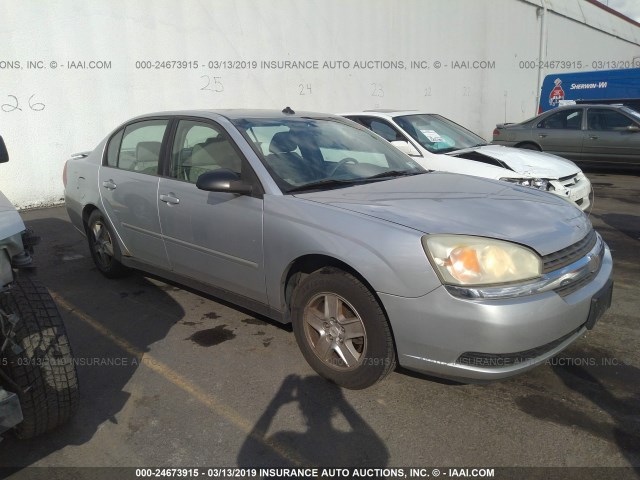 1G1ZT54884F169948 - 2004 CHEVROLET MALIBU LS SILVER photo 1