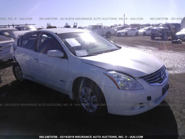 1N4CL2AP7AC114059 - 2010 NISSAN ALTIMA HYBRID WHITE photo 1