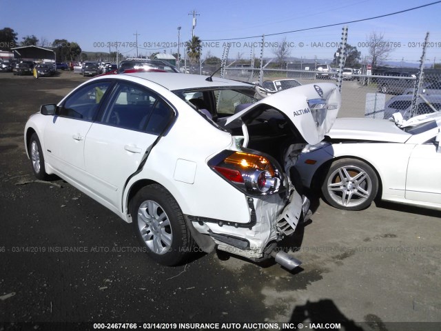 1N4CL2AP7AC114059 - 2010 NISSAN ALTIMA HYBRID WHITE photo 3