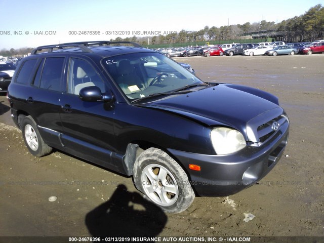 KM8SC13DX5U909685 - 2005 HYUNDAI SANTA FE GLS/LX PURPLE photo 1