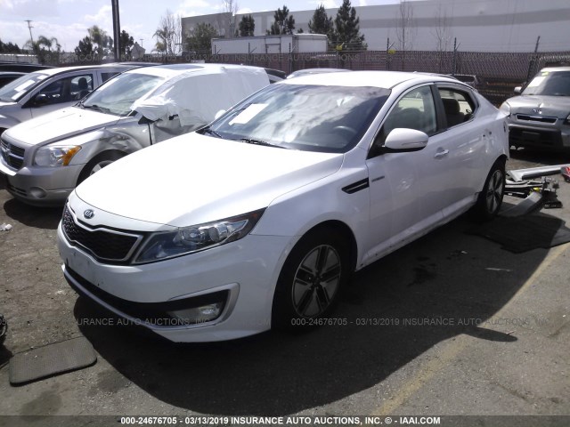 KNAGM4AD3D5042888 - 2013 KIA OPTIMA HYBRID WHITE photo 2