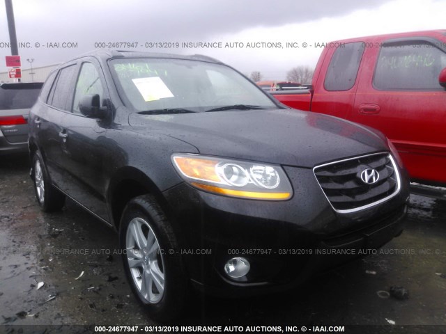 5NMSKDAG0AH352339 - 2010 HYUNDAI SANTA FE LIMITED BLACK photo 1