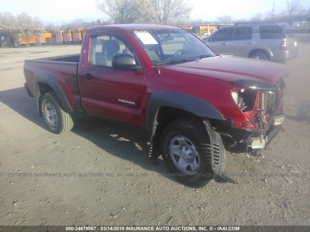 5TEPX42N99Z646418 - 2009 TOYOTA TACOMA RED photo 1