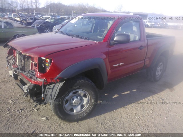 5TEPX42N99Z646418 - 2009 TOYOTA TACOMA RED photo 2