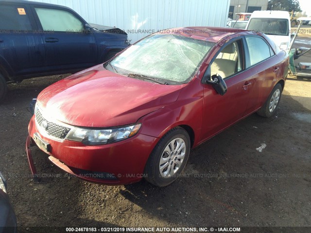 KNAFU4A21C5582653 - 2012 KIA FORTE EX RED photo 2