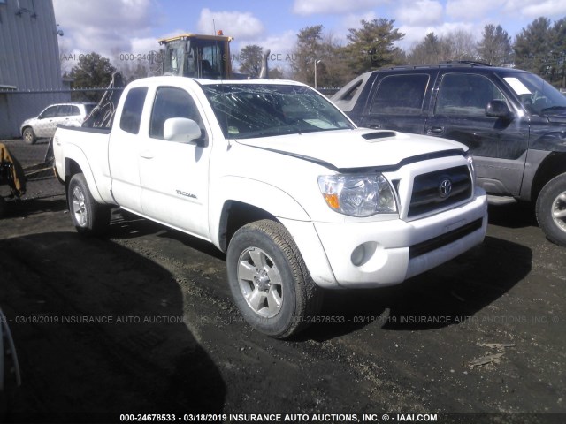 5TEUU42N28Z476476 - 2008 TOYOTA TACOMA ACCESS CAB თეთრი ფოტო 1