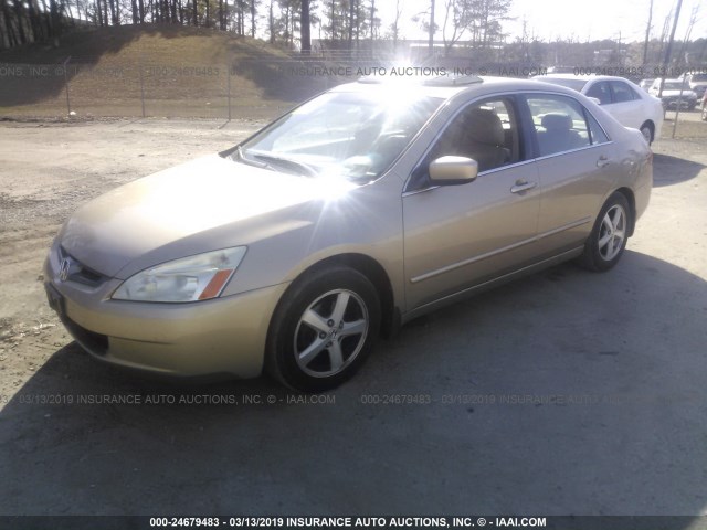 1HGCM56825A173470 - 2005 HONDA ACCORD GOLD photo 2