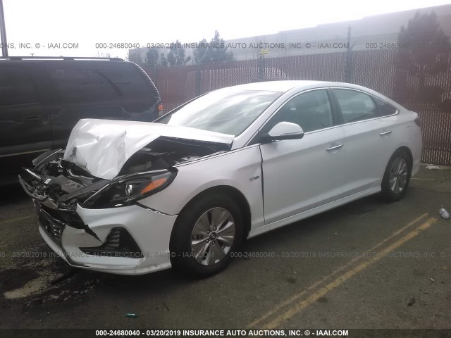 KMHE24L35KA088842 - 2019 HYUNDAI SONATA HYBRID/SE WHITE photo 2