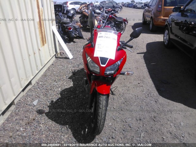 MLHNC5150H5300038 - 2017 HONDA CBR300 RA RED photo 5