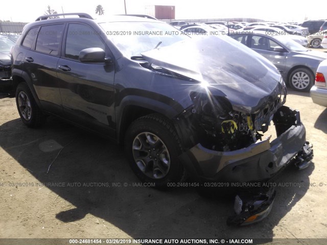 1C4PJMBX3KD273765 - 2019 JEEP CHEROKEE TRAILHAWK GRAY photo 1