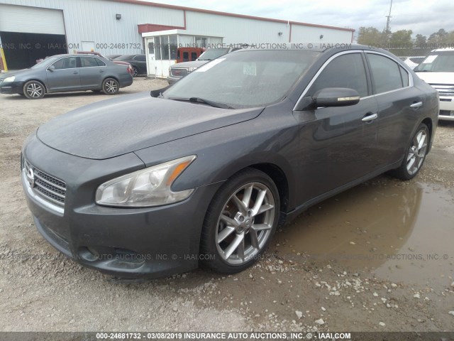 1N4AA5AP9AC842142 - 2010 NISSAN MAXIMA S/SV GRAY photo 2