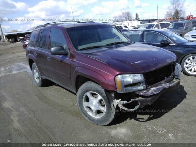 1GNDT13S672178769 - 2007 CHEVROLET TRAILBLAZER LS/LT PURPLE photo 1