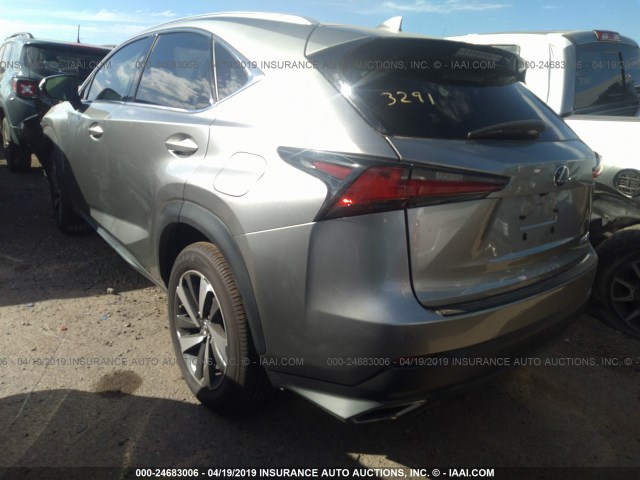 JTJYARBZ9K2138804 - 2019 LEXUS NX 300/BASE/F SPORT SILVER photo 3