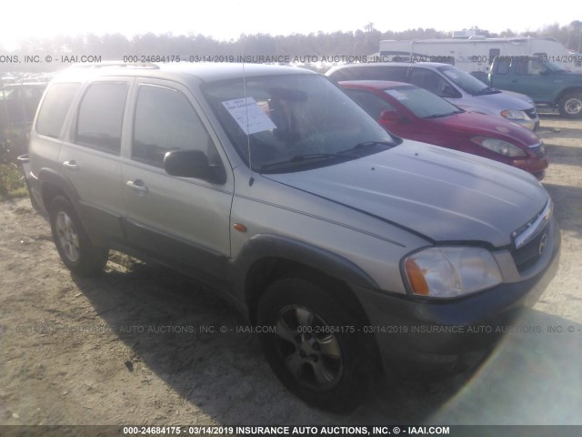 4F2CZ061X3KM49004 - 2003 MAZDA TRIBUTE ES ნაცრისფერი ფოტო 1