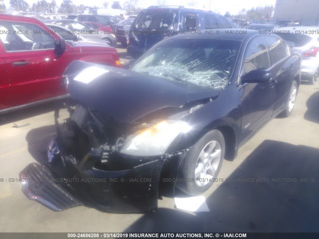 1N4CL21E89C123590 - 2009 NISSAN ALTIMA HYBRID BLACK photo 2