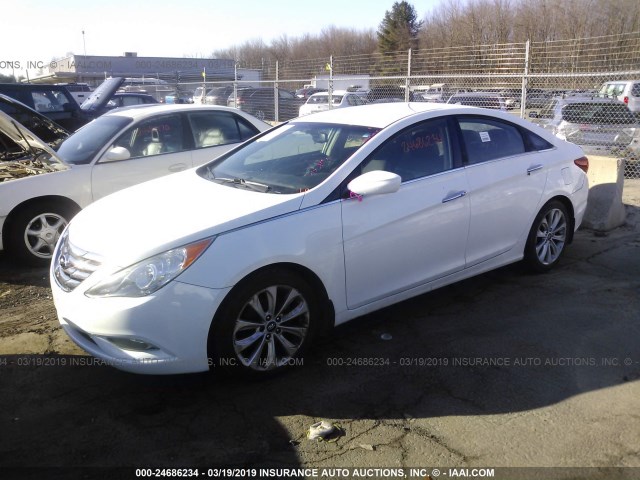 5NPEC4AC2DH508170 - 2013 HYUNDAI SONATA SE/LIMITED WHITE photo 2